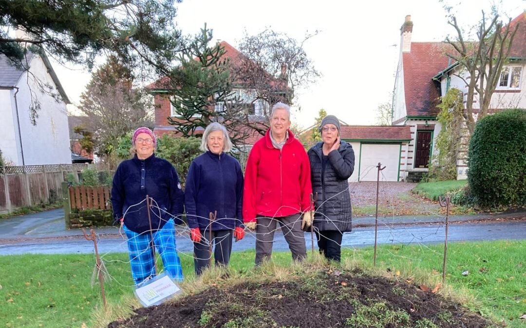 Our New Garden Project